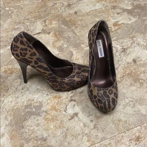 Cheetah Print Steve Madden Pumps
